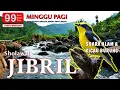 Download Lagu SHOLAWAT JIBRIL SUARA ALAM \u0026 KICAU BURUNG MERDU | MINGGU PAGI