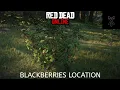 Red Dead Online - Blackberries location