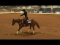 SWRHA Futurity - NRHA Green Reiner Pattern 13