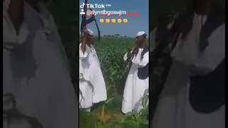 ودالاشبه وددارالزين رفاعه نحنا 