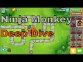 Everything you NEED TO KNOW about the Ninja Monkey - BTD6