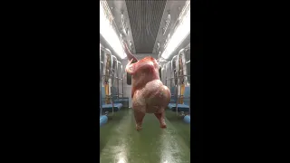 1 2 3 Twurkey Shorts Dance Funny Humor Greenscreen 