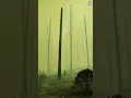 Download Lagu Psychedelic Trance Storm in a Dark Forest ⚡🌫️ | Tribal Symbols \u0026 Glowing Rain Time-lapse