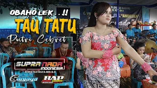 Download TAU TATU (Cover Putri Cebret) SUPRANADA INDONESIA || BAP AUDIO - live Bedoyo Pereng Mojogedang MP3