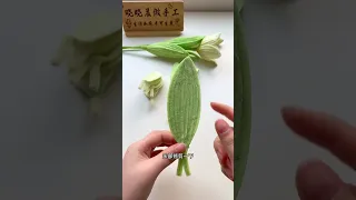 floral romance tulips beyond roses learn the language of love