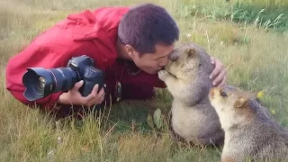 Quand des Photographes Deviennent Amis avec des Animaux Sauvages !