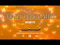 Lagu BITOBEYTO - TIADA PENGGANTI (LIRIK VIDEO)