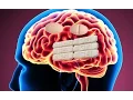 Download Lagu This is what happens to your brain when you take Xanax