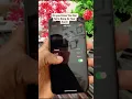 Download Lagu # iPhone #Do you know you can set a song as your alarm 🚨