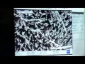 Remote Access EIU PennStateNACK Research Lab 5