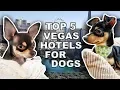 Top 5 Las Vegas Hotels for Dog Owners - Dog Butler Included