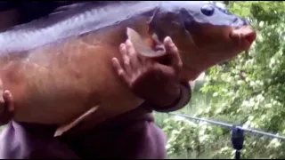                     دندنها