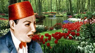 دور أهل الجمال كلهم يارب خليهم صالح عبد الحي مع الكلمات 