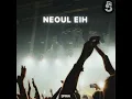 Neoul Eih - Amr diab ( Spiwn Remix)