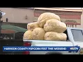 Harrison County Popcorn Festival returns to southern Indiana this weekend