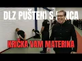 Download Lagu DLZ PUŠTENI SA LANCA SA DRAŽOM PETROVIĆEM: Krička vam materina!