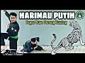 Download Lagu JURUS SILAT HARIMAU PUTIH !! Pagar Nusa Carang Kuning