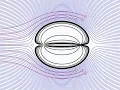 Potential Flows Fluid Mechanics