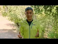 SASE in 60 VMware Cloud Web Security Ep 5