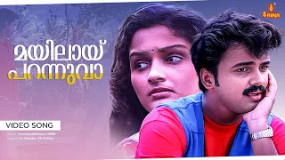mayilaay parannuvaa video song berny ignatius kunchacko boban jomol mailpeelikkavu