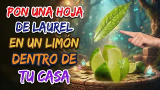 58 ---  PARA QUÉ SIRVE UN LIMÓN CON SAL EN TU CASA  EL SECRETO MÁGICO