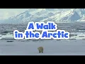 Download Lagu A Walk in the Arctic for Kids | Educational Video for Early Learners