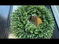 Is 20-Inch Boxwood Wreath Artificial Boxwood Wreath Front Door Wreaths worth it Amazon Review