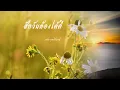 สักวันต้องได้ดี ~ เรวัต พุทธินันทน์