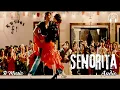 Senorita | Zindagi Na Milegi Dobara | Audio Song | Farhan Akhtar, Hrithik Roshan, Abhay | R Music