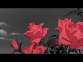 Tear You Apart - She Wants Revenge [LOOP]