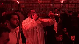 محرم 1441 الليلة 10 مشق تطبير 