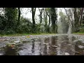 Som de Chuva leve e calma - Tela Preta - Som e musica para relaxar, dormir