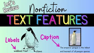 Let S Review Nonfiction Text Features 