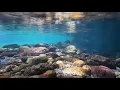 Immersive ASMR - Underwater Trickles and Bubbling to Soothe Your Mind - 4K