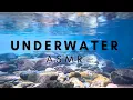 Download Lagu Immersive ASMR - Underwater Trickles and Bubbling to Soothe Your Mind - 4K