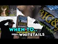 Top 3 Times of Year To WHITETAILS