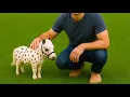 Top 18 Cutest Mini Horse Breeds You Can Actually Own As Pets