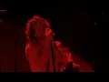 "Blood" - Immagine In Cornice - Live In Verona, Italy - Pearl Jam