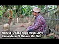 Download Lagu GEGER !!! MUNCULNYA MAKAM MEI SHIN ISTRI PEMILIK PEDANG NAGA PUSPA DI PASURUAN ?!