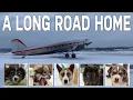 A Long Road Home Manitoba to Ontario Dog Rescue