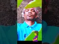 Download Lagu Amah katha # https://  uyharlekhan med dahjoroh #https:// sart video kisun soren  amah kathanj