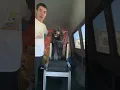 How the Slatmill works with Bark N Roll
