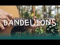 Download Lagu dandelions - ruth b. (fingerstyle)
