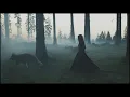 Frosten - I Troldskog Faren Vild (Ulver Cover)