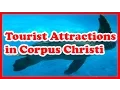 5 Top Tourist Attractions in Corpus Christi Texas US Travel Guide