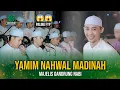 Download Lagu PALING FYP😱 Yamim Nahwal Madinah II Al Qolbu Mutayyam
