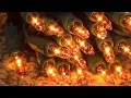 Download Lagu Holiday Time 100 Amber Mini Lights
