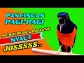 Download Lagu PANCINGAN PAGI-PAGI AGAR MURAI GACOR❗❗ MURAI DIAM PASTI NYAUT EMOSI❗❗❗