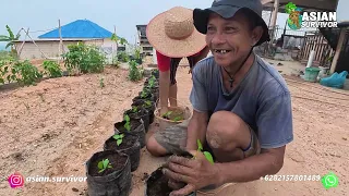 PAK LUBIS & ISTRI KOMPAK BERKEBUN DI LAHAN BARU! CERITA TRANSMIGRASI LOKAL REMPANG ECO CITY BATAM