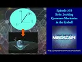Solo Looking Quantum Mechanics in the Eyeball Mindscape 355